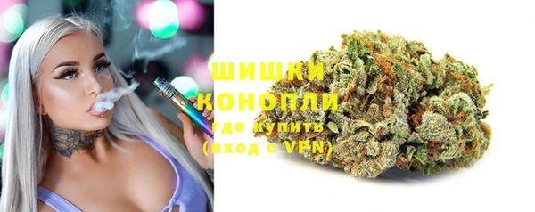 сатива Белокуриха
