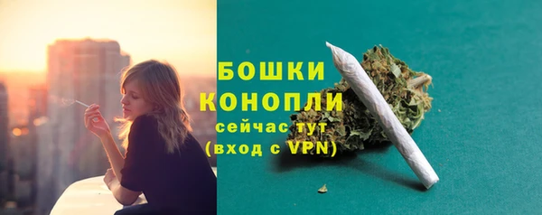 спиды Богородск