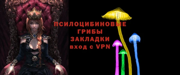 сатива Белокуриха