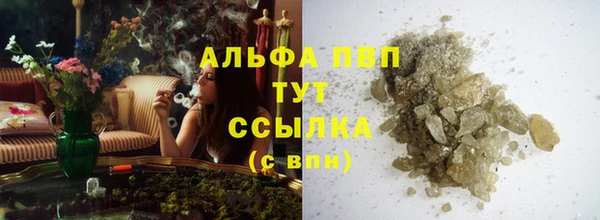 сатива Белокуриха
